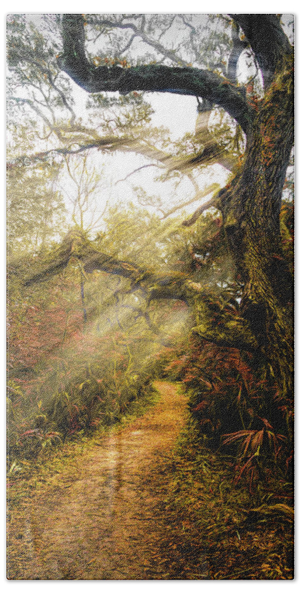 Trail Bath Towel featuring the photograph Little Talbot Island Sunlit Autumn Trail by Debra and Dave Vanderlaan