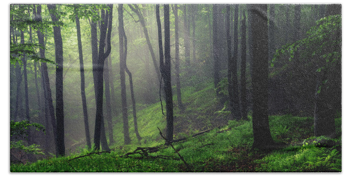 Mist Hand Towel featuring the photograph Living Forest by Evgeni Dinev