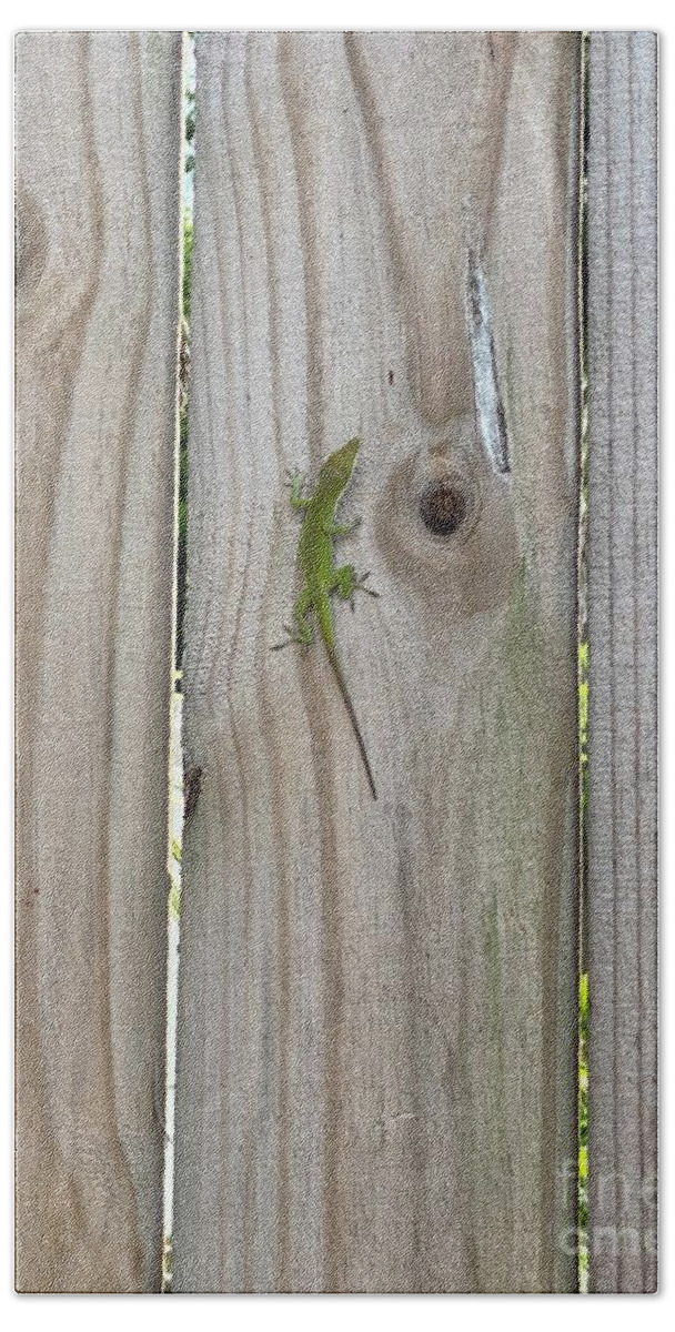 Lizard Hand Towel featuring the photograph LIzard and wood by LeLa Becker