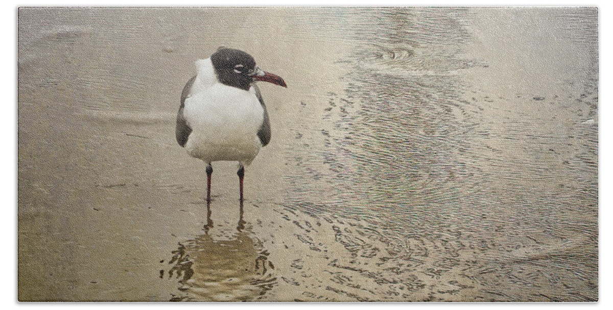 Seagull Hand Towel featuring the photograph Lone Laughing Gull by Linda Lee Hall