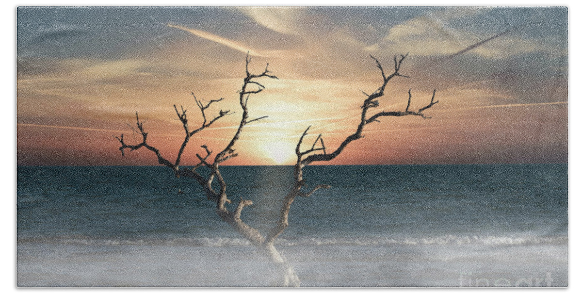 Dead Tree Bath Towel featuring the photograph Lone Tree by Ed Taylor