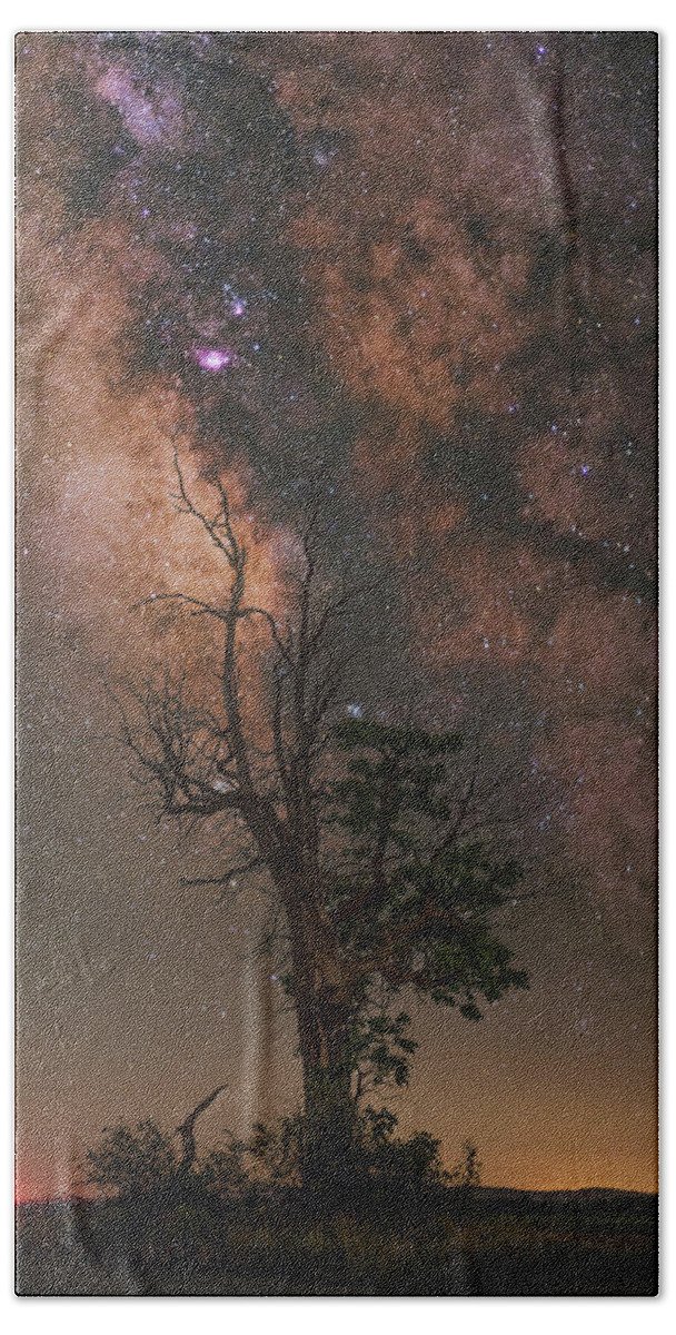 Nightscape Bath Towel featuring the photograph Lone Tree by Grant Twiss
