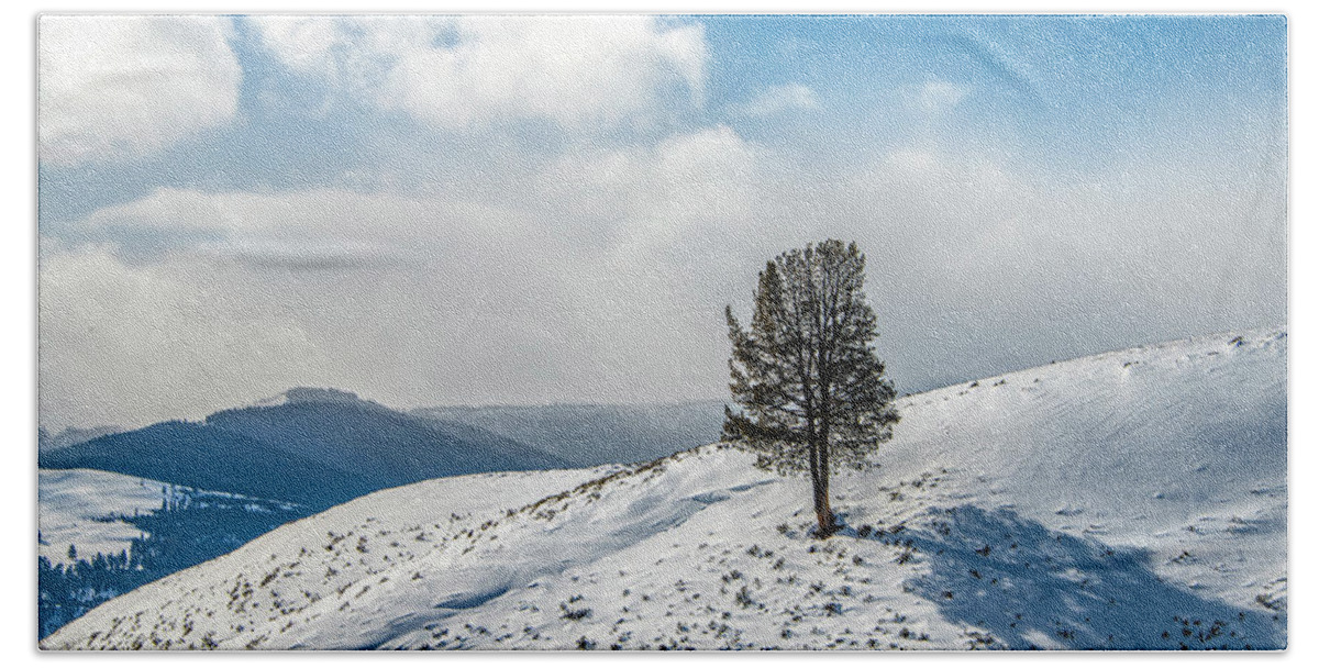 Wyoming Bath Towel featuring the photograph Lone Tree Landscape, Yellowstone Winter by Marcy Wielfaert