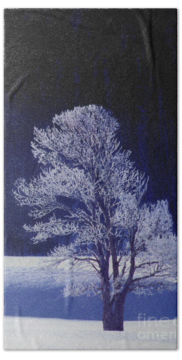 Dave Welling Bath Towel featuring the photograph Lonely Rime Ice Covered Tree Yellowstone National Park by Dave Welling