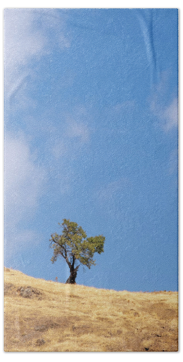 Lonely Tree Bath Towel featuring the photograph Lonely tree on a dry field against blue sky by Michalakis Ppalis