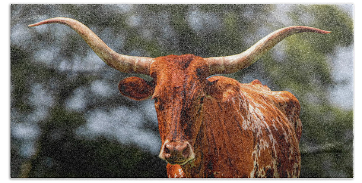Cow Hand Towel featuring the photograph Longhorn by Jamie Tyler