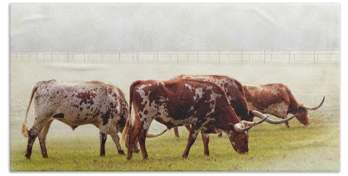 Longhorns Hand Towel featuring the photograph Longhorns In The Mist by James Eddy