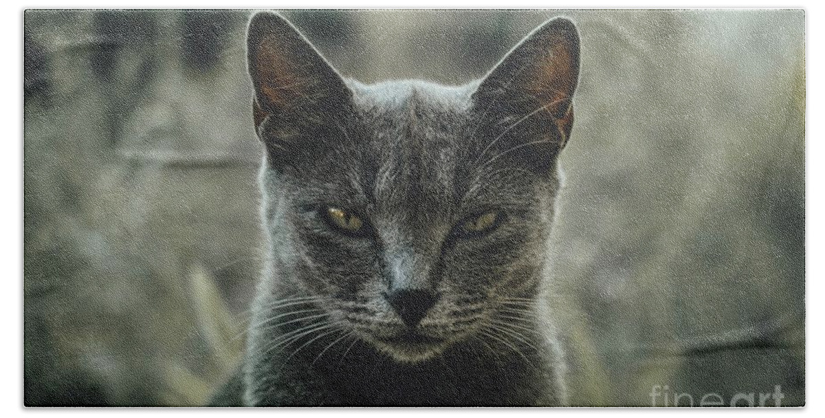 Sea Bath Towel featuring the photograph Look Into My Eyes by Michael Graham