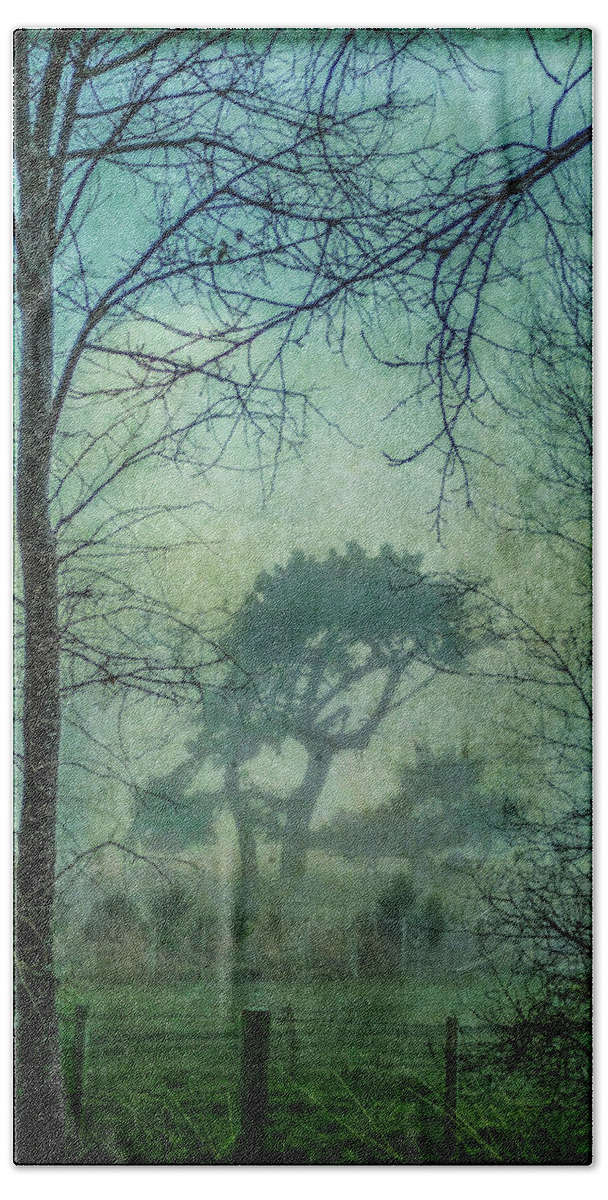 Tree Bath Towel featuring the photograph Looking Through by Roseanne Jones