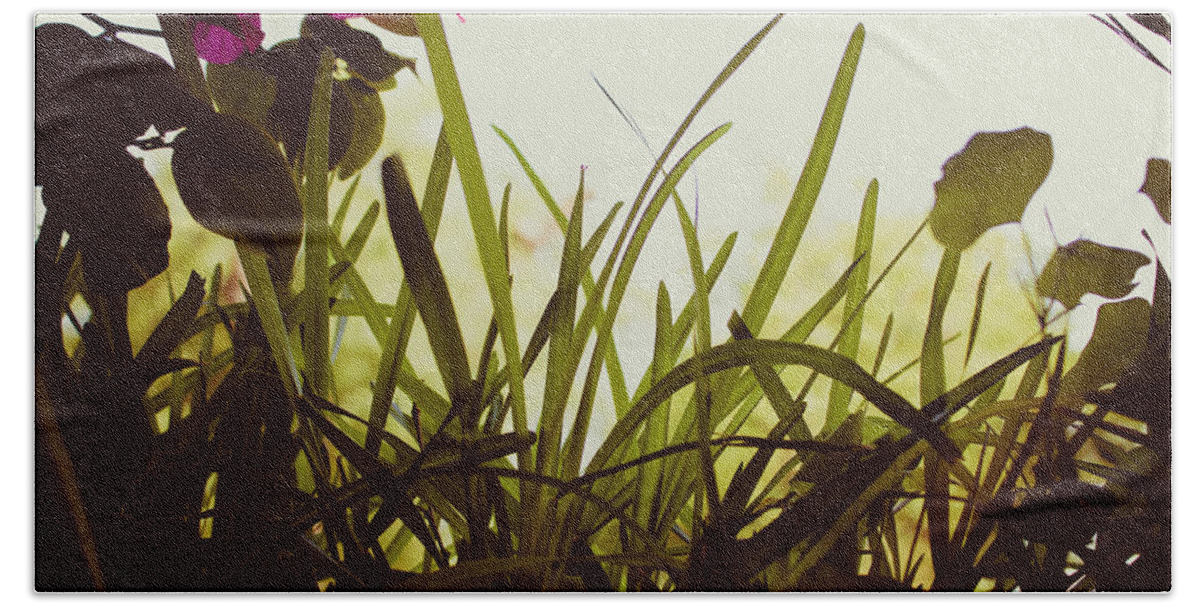 Grass Bath Towel featuring the photograph Looking through the Grass by W Craig Photography