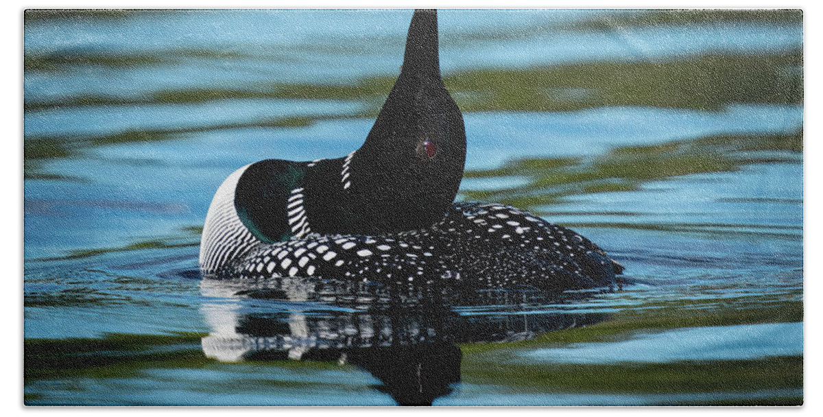 Loon Bath Towel featuring the photograph Loon on Point by Ron Long Ltd Photography
