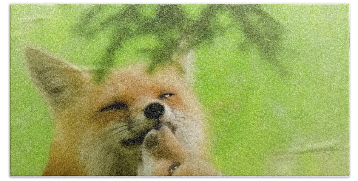 Foxes Bath Towel featuring the photograph Love and Kisses II by Kristin Hatt