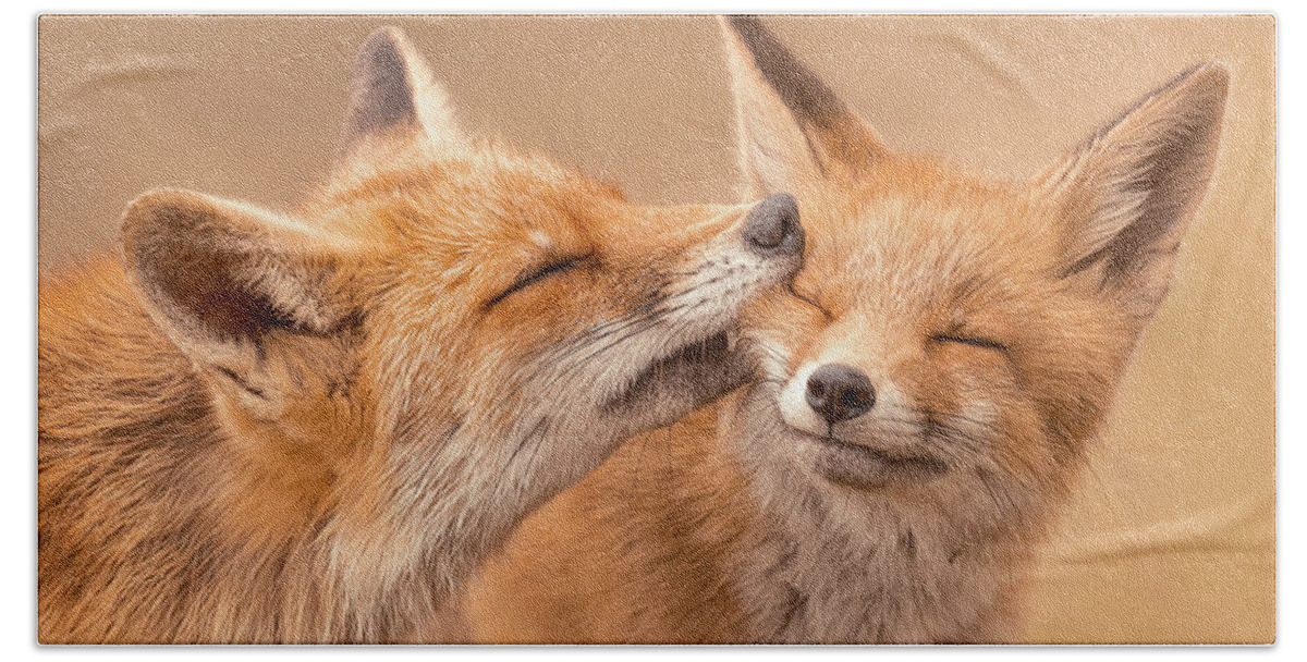 Love Hand Towel featuring the photograph Love Bites - Fox Love Series by Roeselien Raimond
