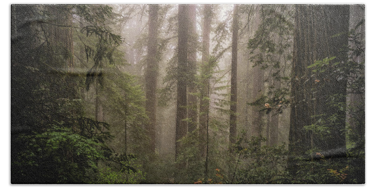 Redwoods Hand Towel featuring the photograph Lovely, Dark, and Deep by Jason Roberts