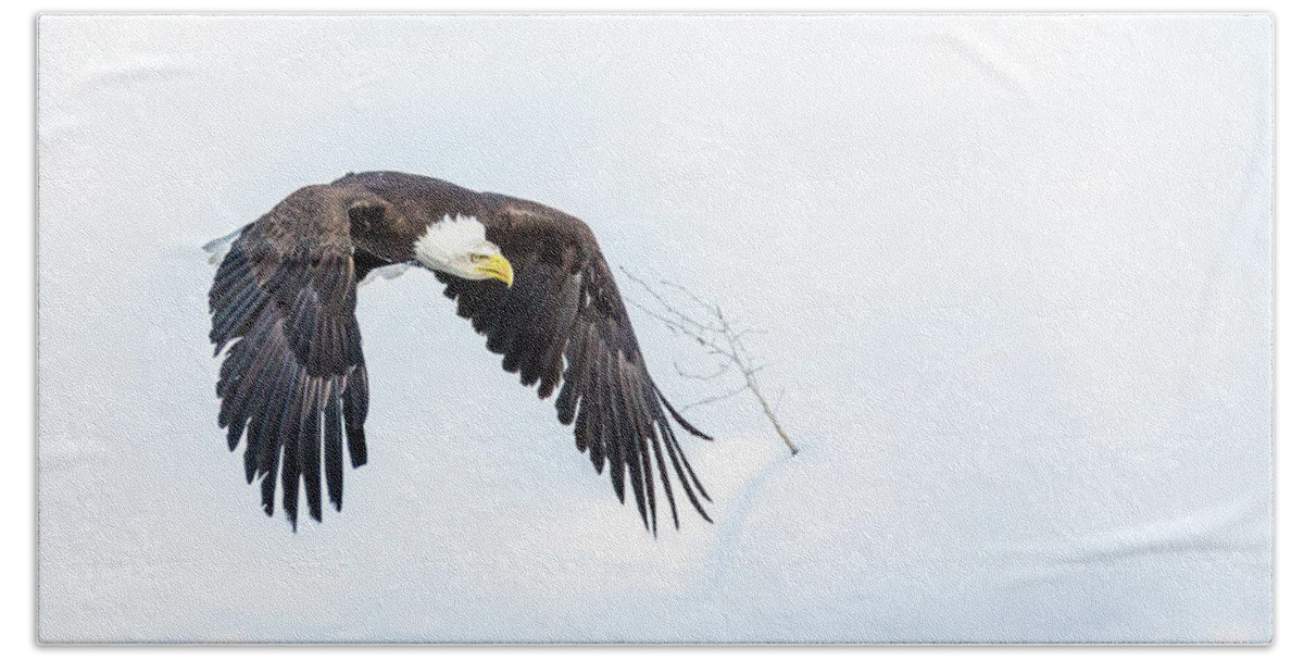 Eagle Bath Towel featuring the photograph Low Approach by Kevin Dietrich