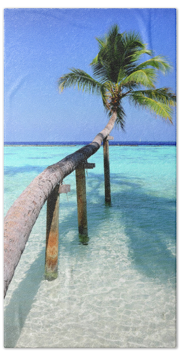 Palm Hand Towel featuring the photograph Low Bow. Tropical Palm over Lagoon by Jenny Rainbow