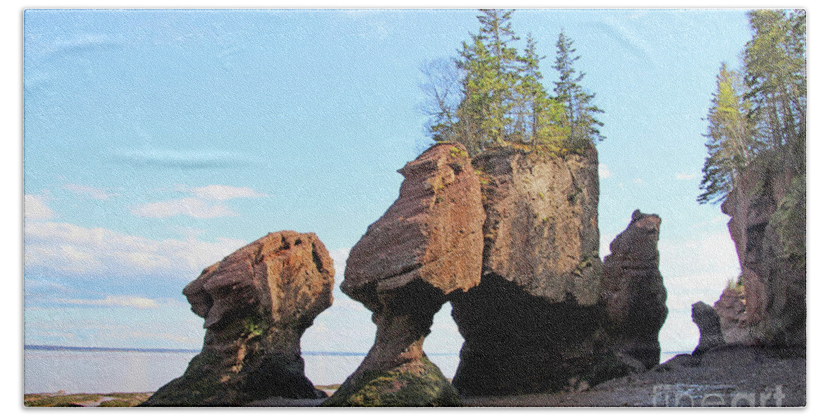 Hopewell Rocks Bath Towel featuring the photograph Low Tide at Hopewell Rocks Bay of Fundy NB 5454 by Jack Schultz