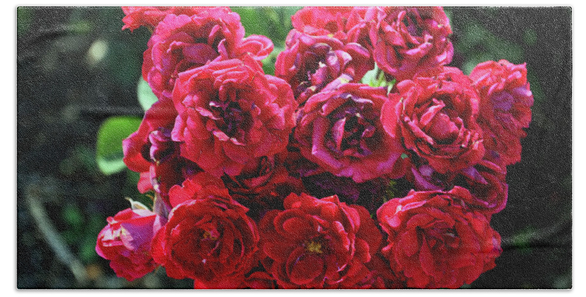  Rose Hand Towel featuring the photograph Luscious Red Roses by Rick Hansen