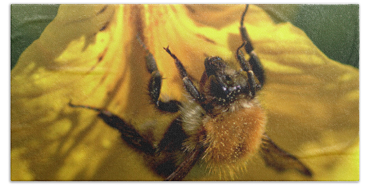 Nature Bath Towel featuring the photograph Macro of Bee on Iris Bloom by Stephen Melia