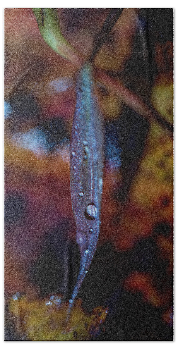 Fall Bath Towel featuring the photograph Macro Photography - Autumn Water Drops by Amelia Pearn