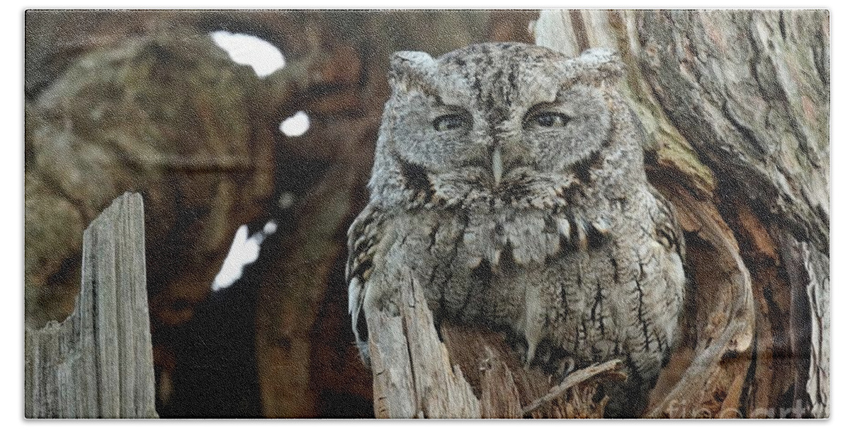 Eastern Screech Owl Bath Towel featuring the photograph Made to measure by Heather King