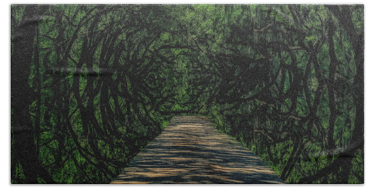 Magical Forest Path Bath Towel featuring the mixed media Magical Forest Path by Dan Sproul