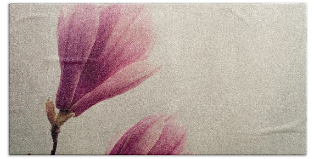 Magnolia Hand Towel featuring the photograph Magnolia flower on art texture by Jelena Jovanovic