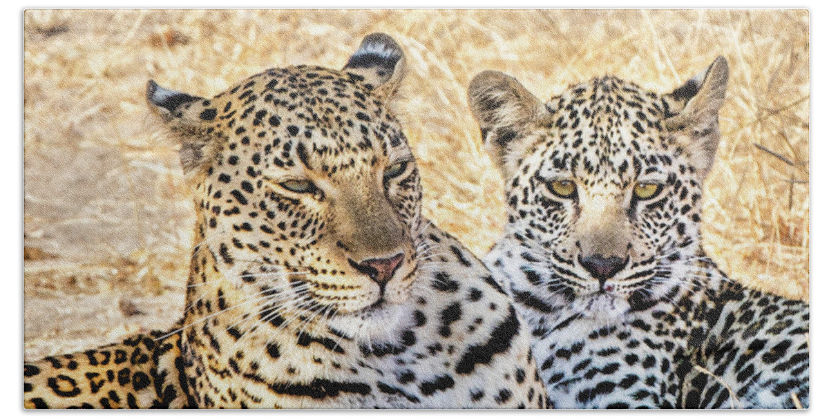 Leopard Hand Towel featuring the photograph Mama Leopard And Her Cub by Elvira Peretsman