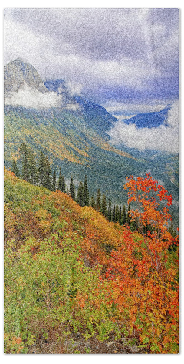 Glacier National Park Hand Towel featuring the photograph Many Colors of Autumn in Glacier by Jack Bell