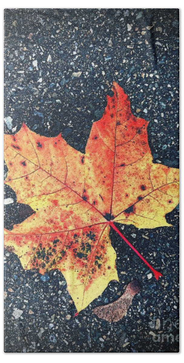 Autumn Hand Towel featuring the photograph Maple Leaf by Claudia Zahnd-Prezioso