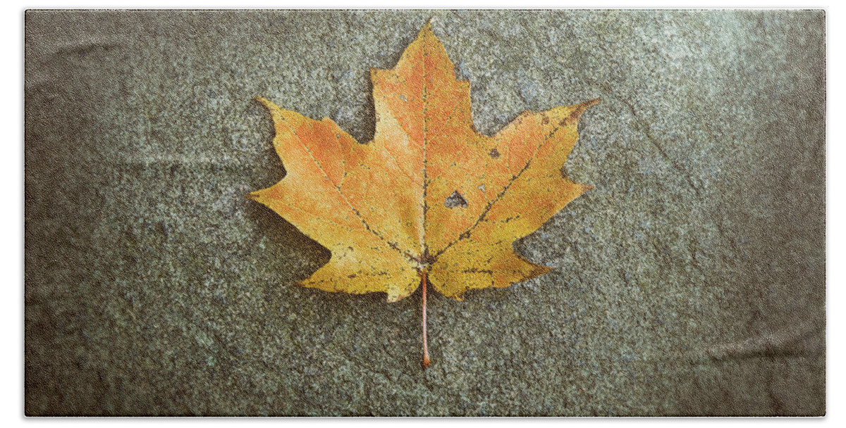 Leaf Hand Towel featuring the photograph Maple Leaf on Stone by Scott Norris