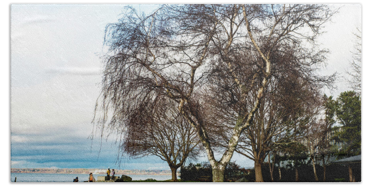 Marine Park Bare Branches Bath Towel featuring the photograph Marine Park Bare Branches by Tom Cochran