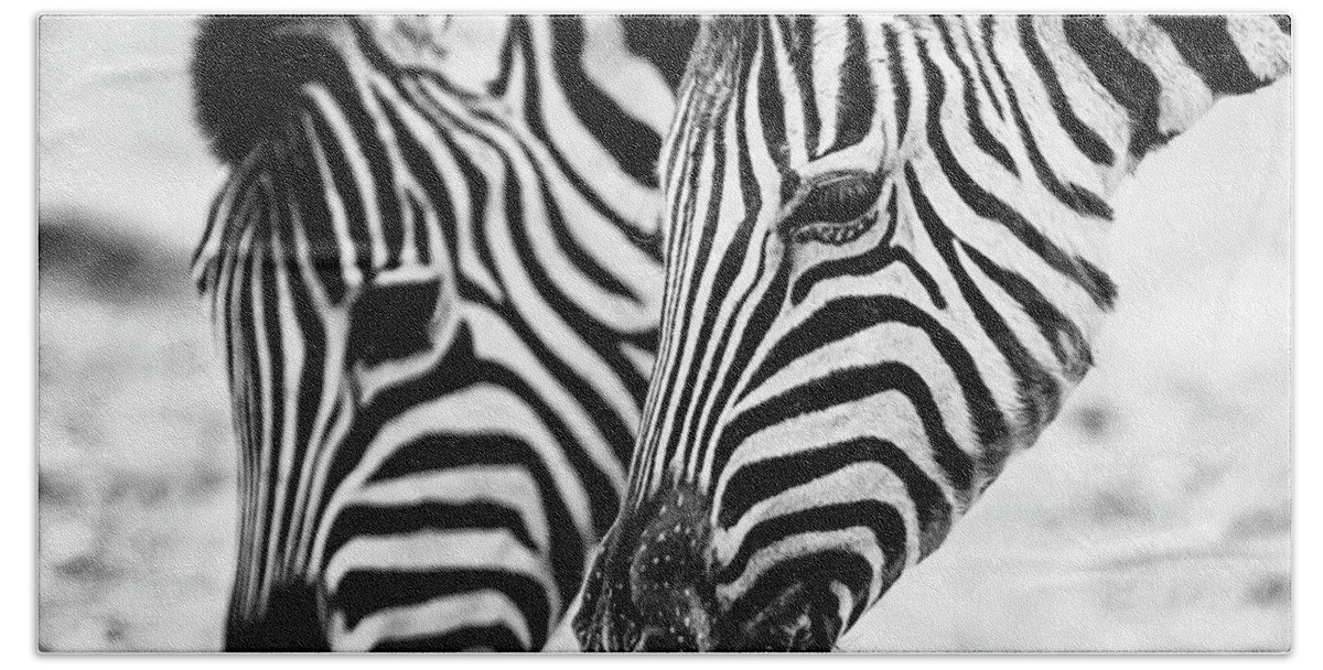 Plains Zebra Hand Towel featuring the photograph Markings on a Zebra's Face by Belinda Greb