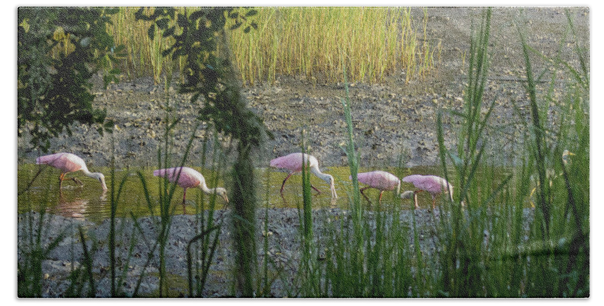Roseate Spoonbill Bath Towel featuring the photograph Marsh Highway by Patricia Schaefer