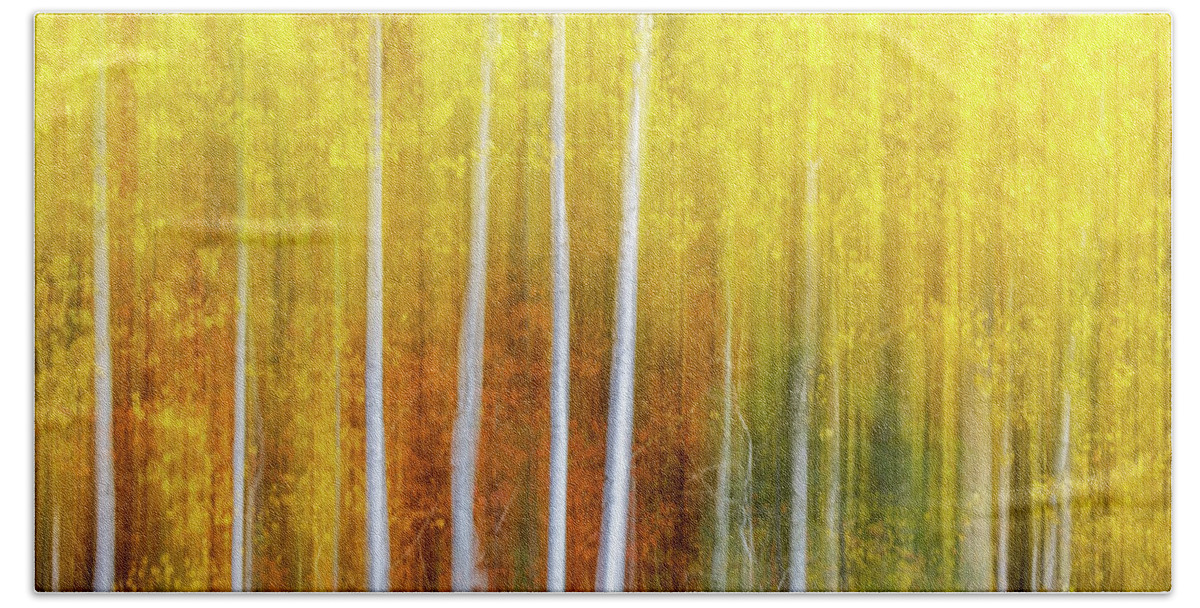 Abstract Bath Towel featuring the photograph Memories of Fall by Laura Roberts