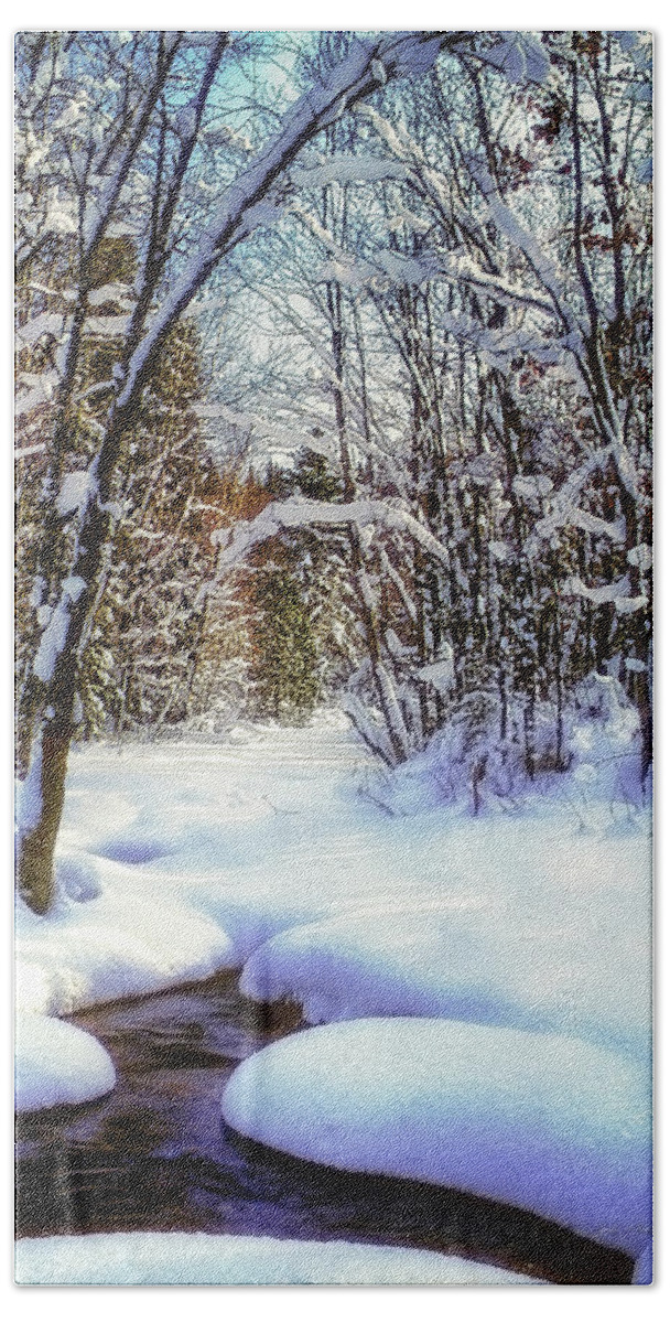 Photographs Bath Towel featuring the photograph Michigan Snowscene by John A Rodriguez