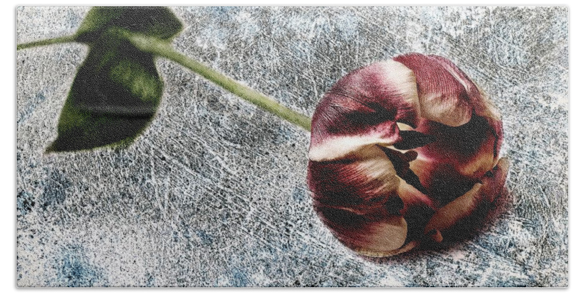 Red Tulip Bath Towel featuring the photograph Mine red tulip by Al Fio Bonina