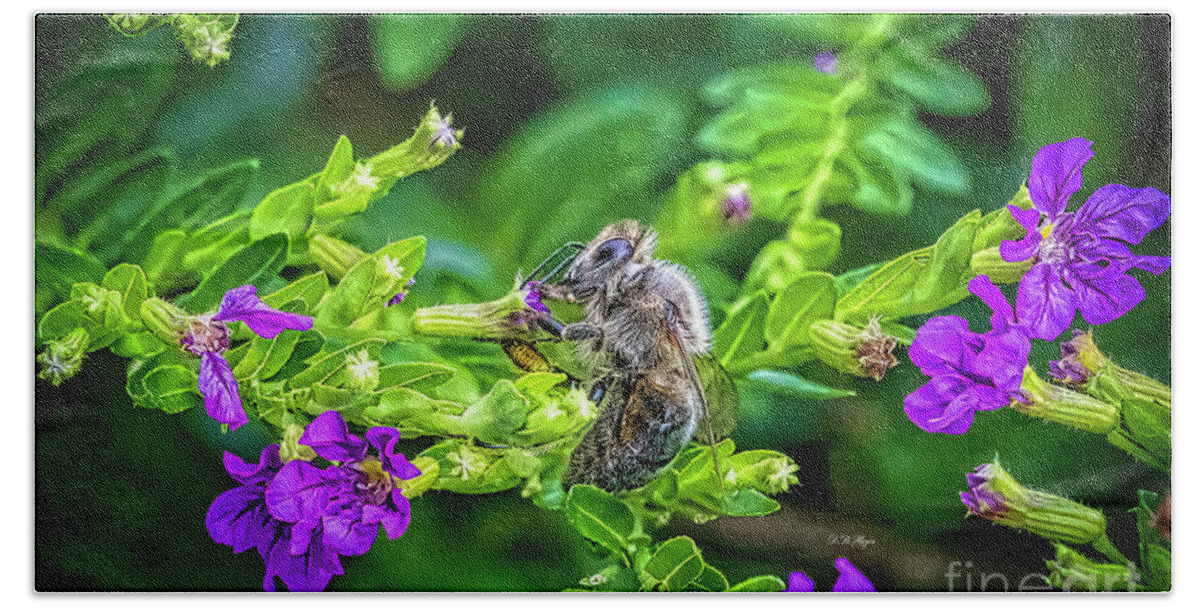Bees Bath Towel featuring the photograph Mining Bee In Mexican Heather by DB Hayes