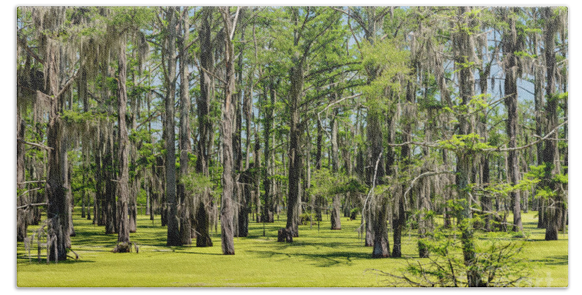 Wetland Hand Towel featuring the photograph Mississippi Swamp by Jim West