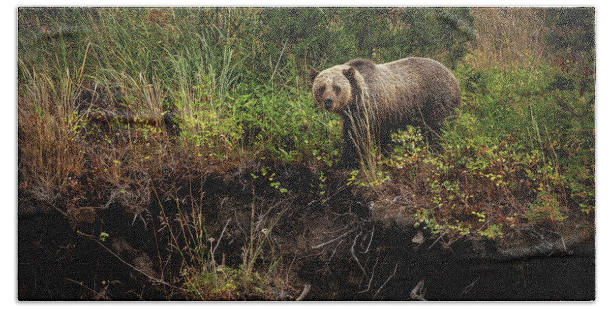 Landscape Bath Towel featuring the photograph Moma Bear on North Fork by Craig J Satterlee