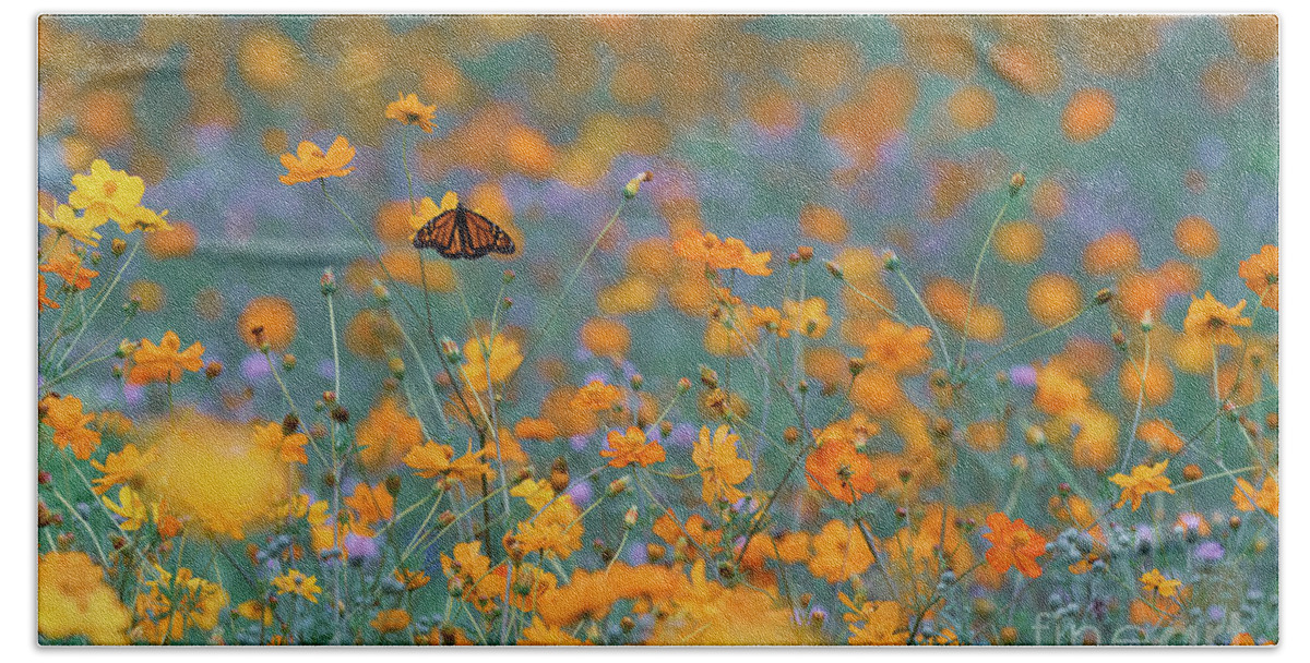 Coreopsis Bath Towel featuring the photograph Monarch in pollinator meadow BU10666 by Mark Graf