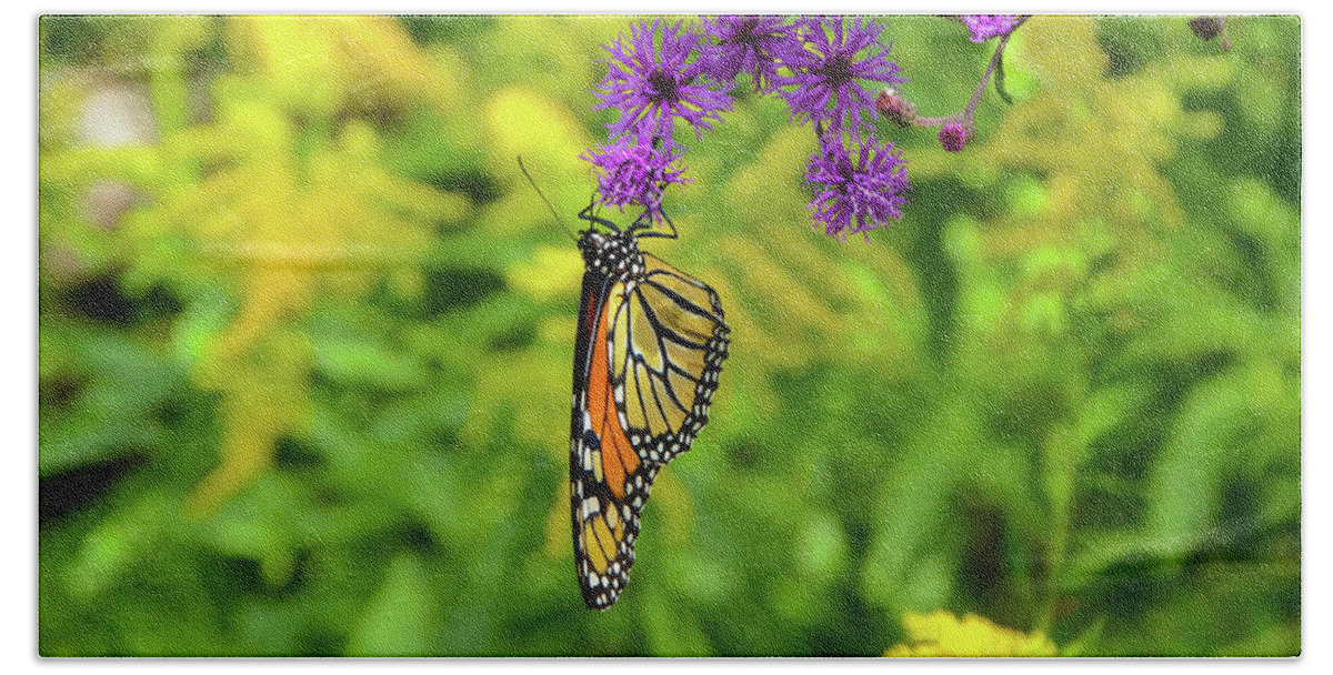 Monarch Bath Towel featuring the photograph Monarch Sipping from the Ironweed by Kristin Hatt