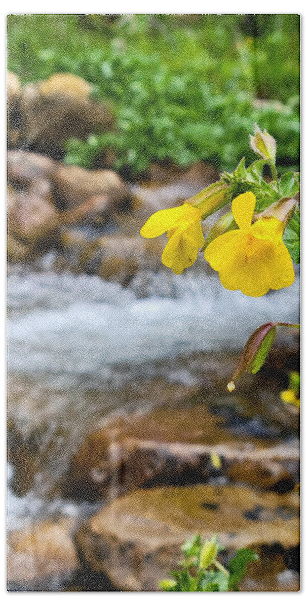 Monkey Flower Hand Towel featuring the photograph Monkey Flower by Canyon Creek by Bonny Puckett