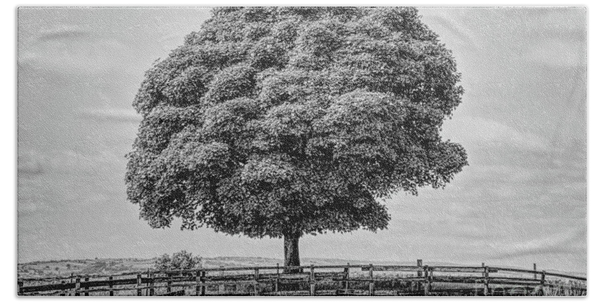 Monochrome Bath Towel featuring the photograph Monochrome tree in Heywood Gtr Manchester, UK by Pics By Tony