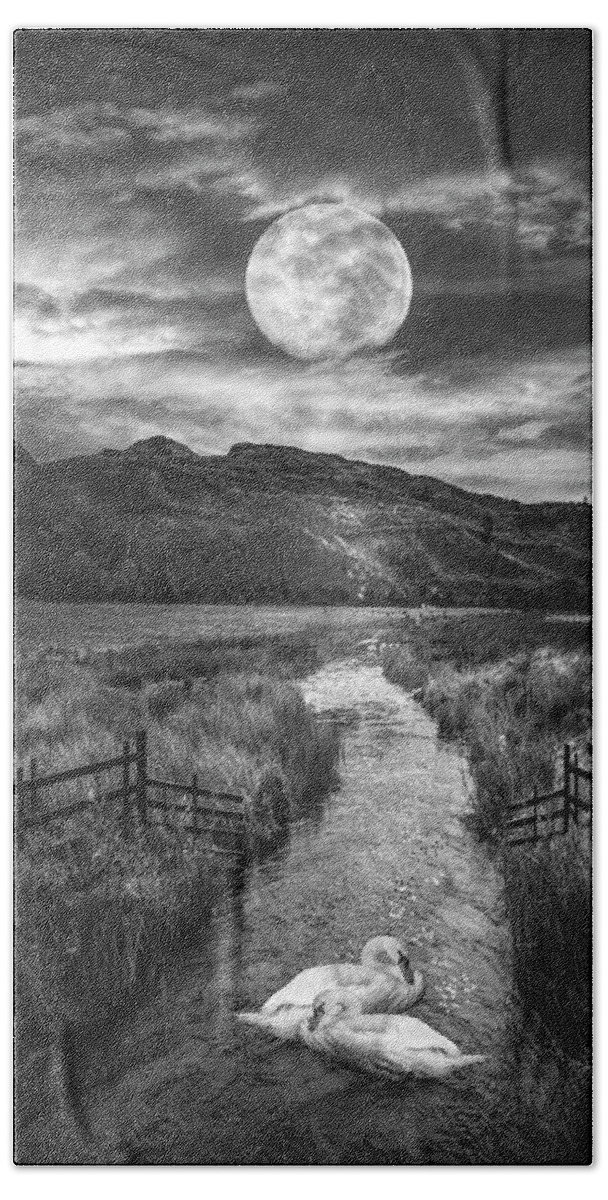 Birds Bath Towel featuring the photograph Moonlight on the Swans Black and White by Debra and Dave Vanderlaan