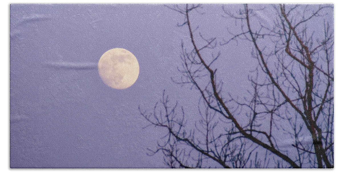 Full Moon Bath Towel featuring the photograph January Moonshine by Susie Loechler