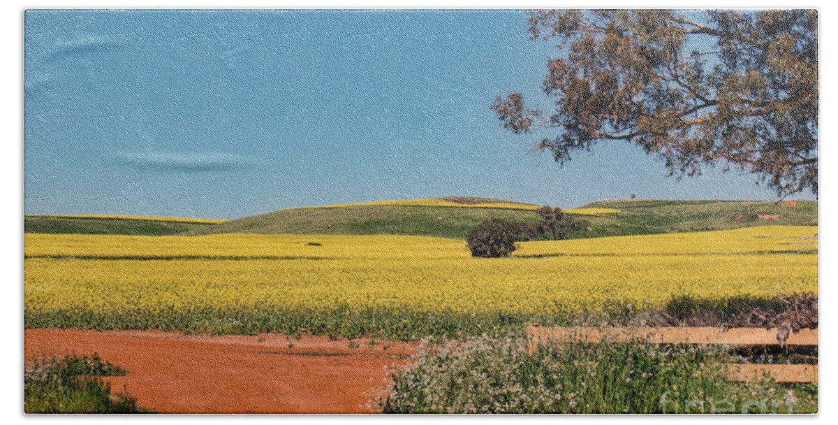 Taken On The Geraldton To Mount Magnet Road. Moonyoonooka Is A Very Small Town In The Mid-west Of Wester Australia With A Population Of Just 245 People. Bath Towel featuring the photograph Moonyoonooka, Western Australia by Elaine Teague