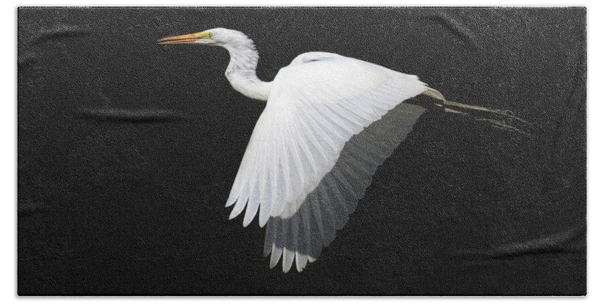Bird Bath Towel featuring the photograph Morning Contrasts by Art Cole