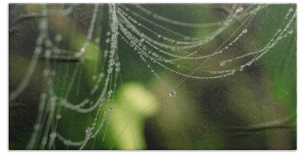 Cobweb Bath Towel featuring the photograph Morning Dew by Lens Art Photography By Larry Trager
