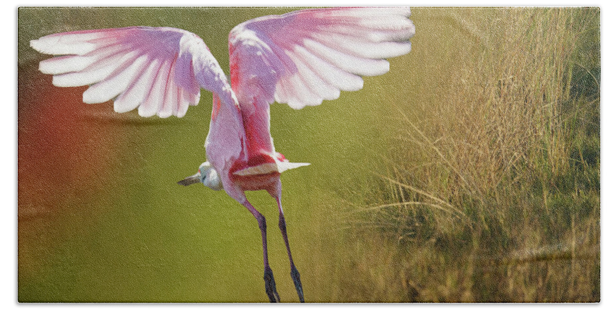Spoonbill Bath Towel featuring the photograph Morning Flight by Norman Peay